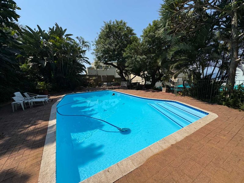 Outdoor swimming pool area featuring a paved deck, established garden surroundings, and perimeter fencing.