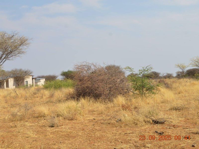 BIG PLOTS AHEAD & UP FOR SALE !! - Photo 7