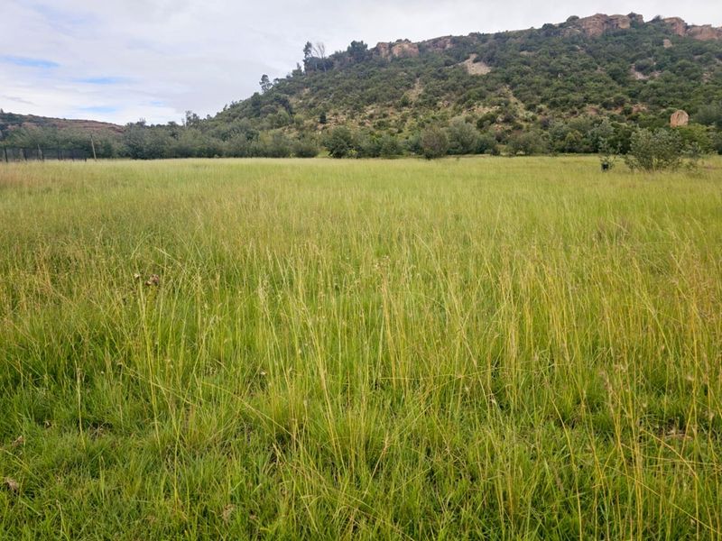 Experience the Tranquility of Mountain Living with This Prime 1250 sqm Vacant Land - Photo 4