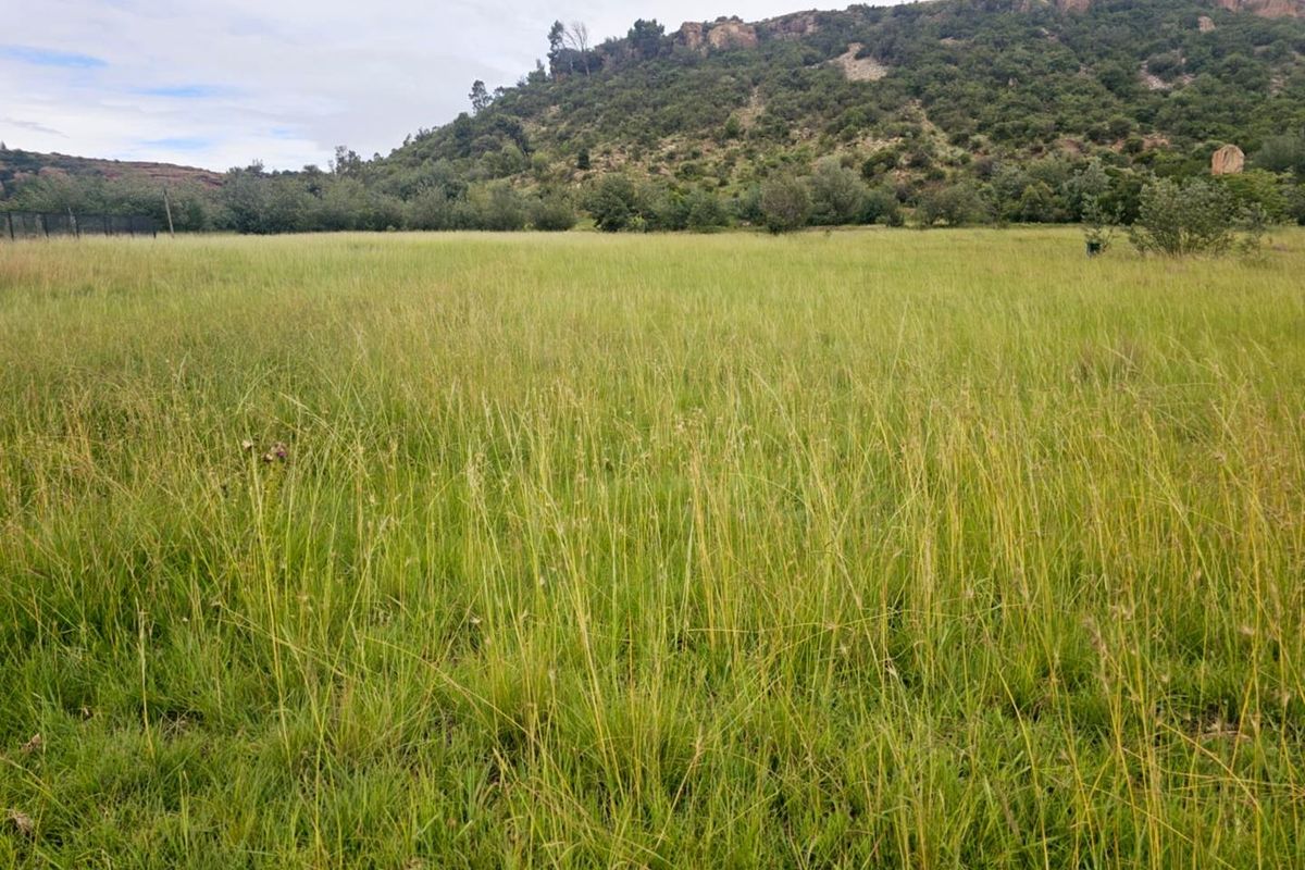 Experience the Tranquility of Mountain Living with This Prime 1250 sqm Vacant Land - Photo 4