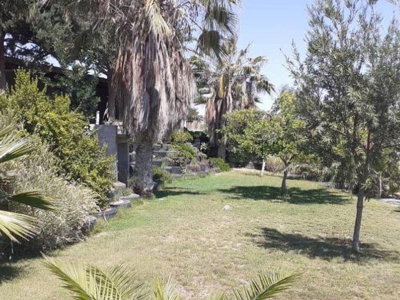 A spacious garden area featuring established trees, palm trees, and tiered landscaping elements, providing a natural outdoor setting for the property.