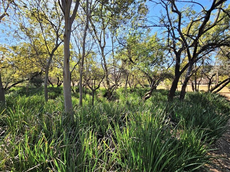 8300m2 Vacant Land in K'Shane, Kosmos - Photo 7