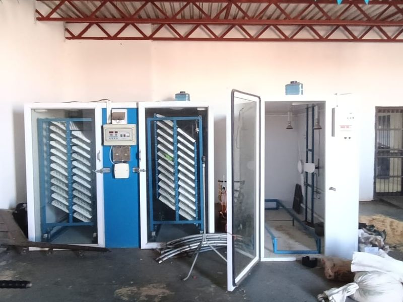 Edable land. Broiler Cage for 19000 chickens fully computeries.Totally off grid. - Photo 6