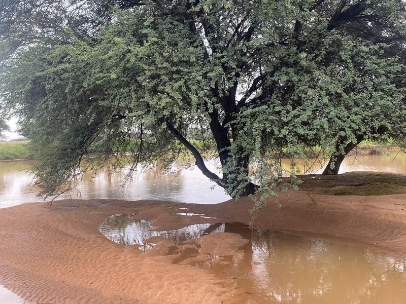 A scenic view of a natural riverbank featuring mature trees and sandy terrain on the farm property.