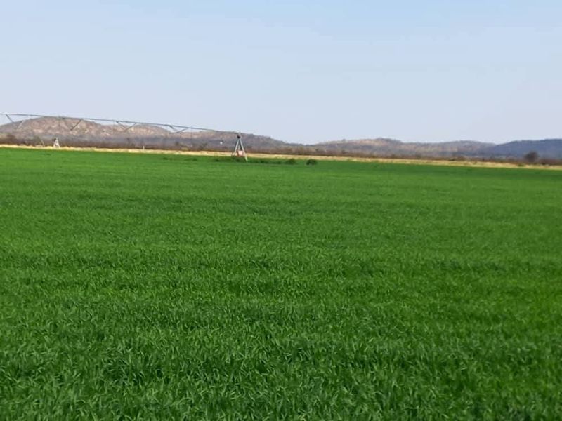 Walk in and produce in a friendly farm environment. - Photo 2