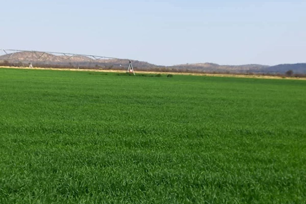 Walk in and produce in a friendly farm environment. - Photo 2