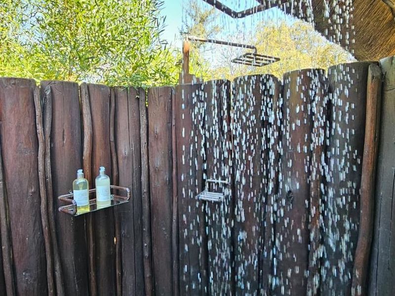 Rated Boutique Bush Lodge for Sale - Photo 9