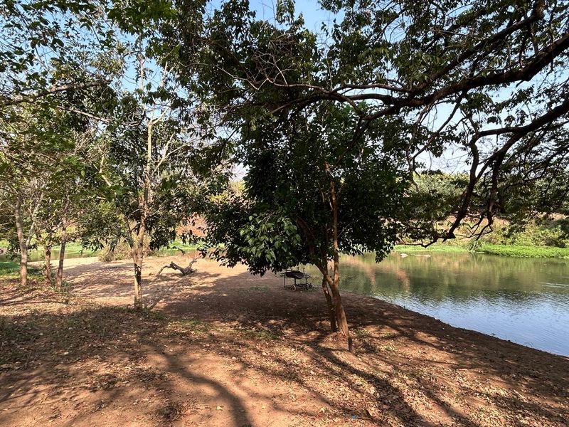 Magnificent Riverfront with island 9.5 Ha Litchi & Macadamia Farm on the Banks of the Letaba River - Photo 7