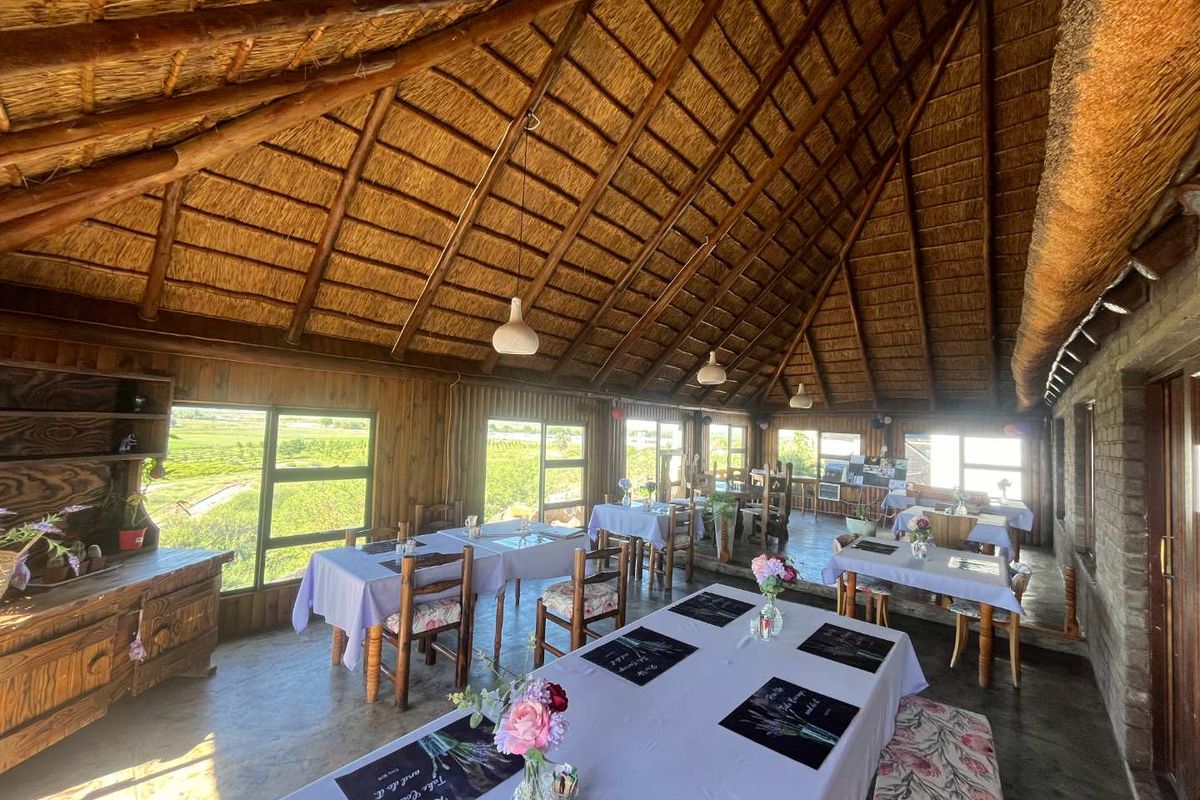 Calling All Entrepreneurs – Unique Guest Farm with Panoramic Views and Endless Potential - Photo 4