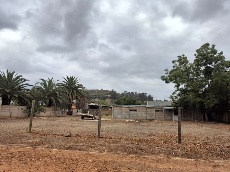 Canvas of Dreams: Build Your Future in Heidelberg! - Photo 2