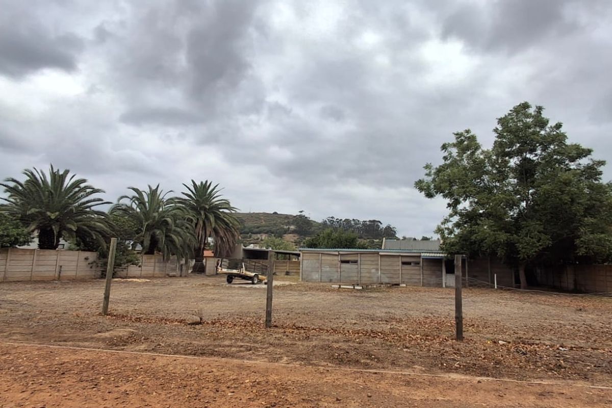 Canvas of Dreams: Build Your Future in Heidelberg! - Photo 2