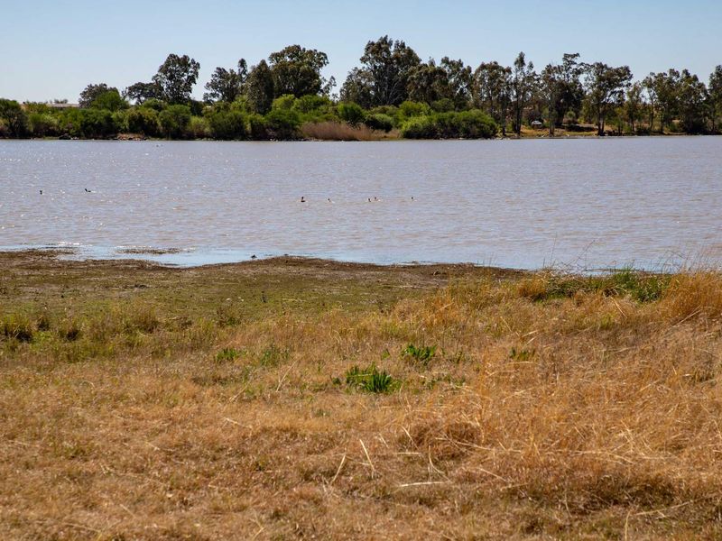Vacant Land with Dam Views – Weltevrede Dam, Koppies - Photo 2