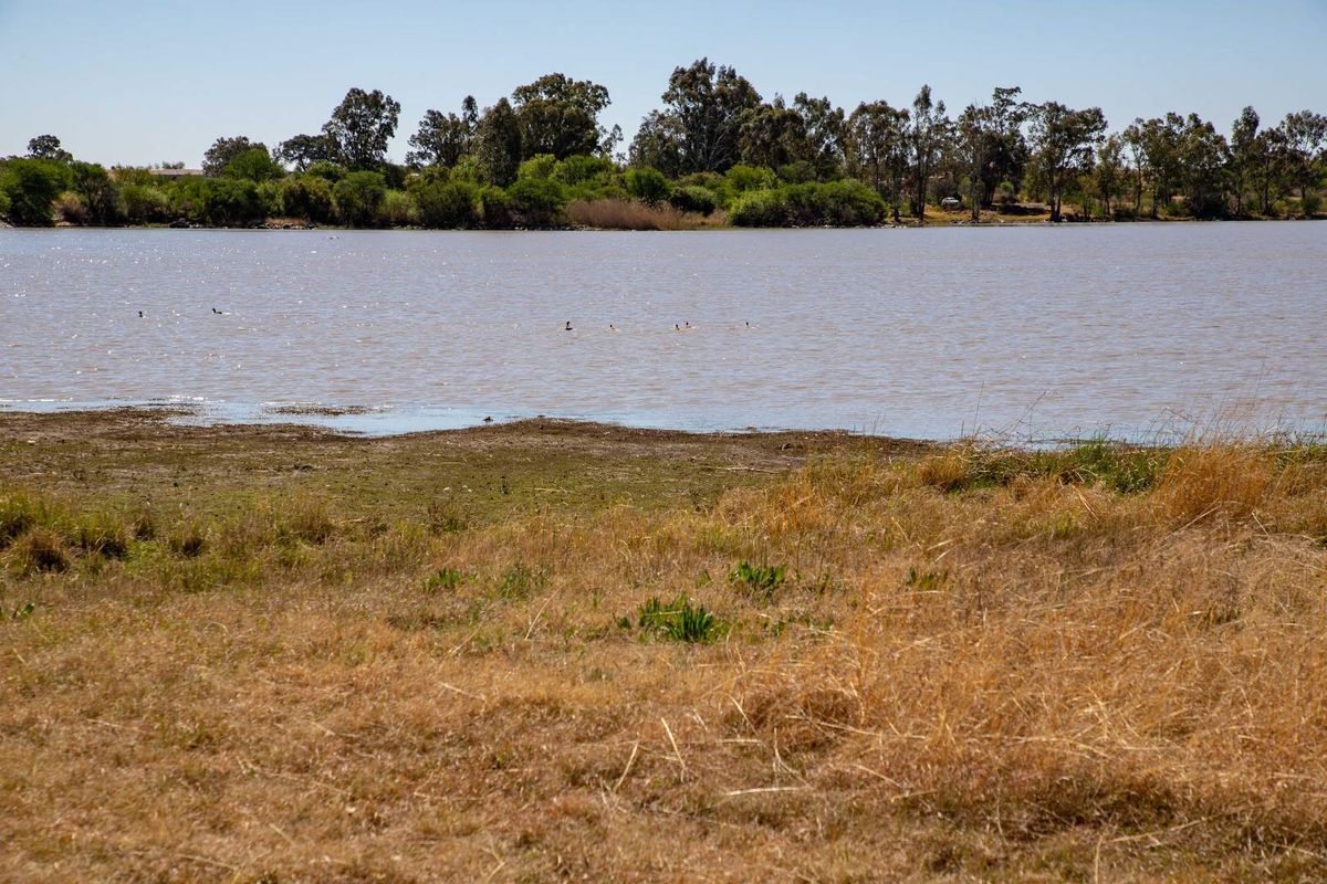 Vacant Land with Dam Views – Weltevrede Dam, Koppies - Photo 2