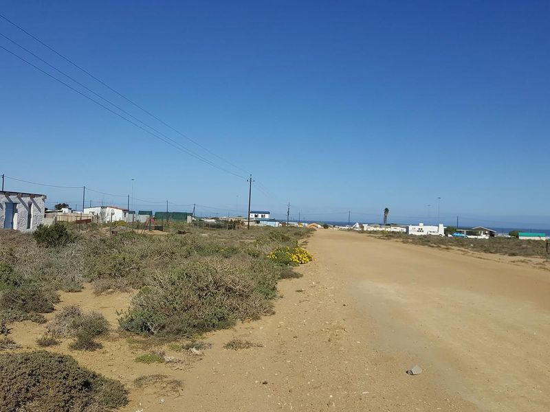 A view of an unpaved coastal road with surrounding natural vegetation and distant residential structures under a clear blue sky.