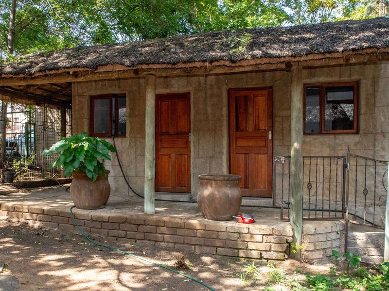 Charming Turnkey Investment – Character-Filled Thatch Roof Home - Photo 7