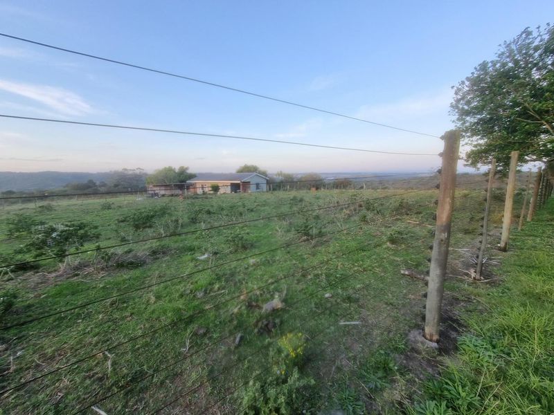 "Your Dream Farm Awaits - Close to Town , Full of Potential " - Photo 6