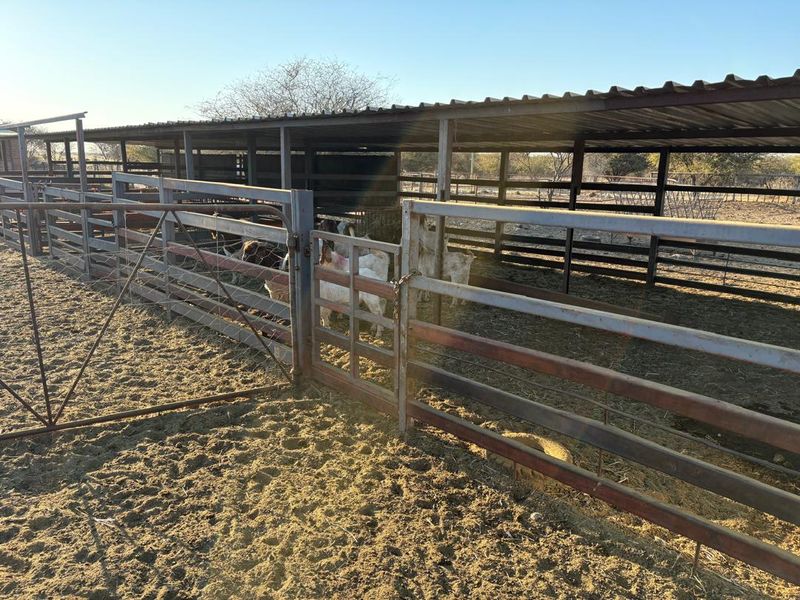 Agricultural Farm for Sale - Grootfontein Region - Photo 3