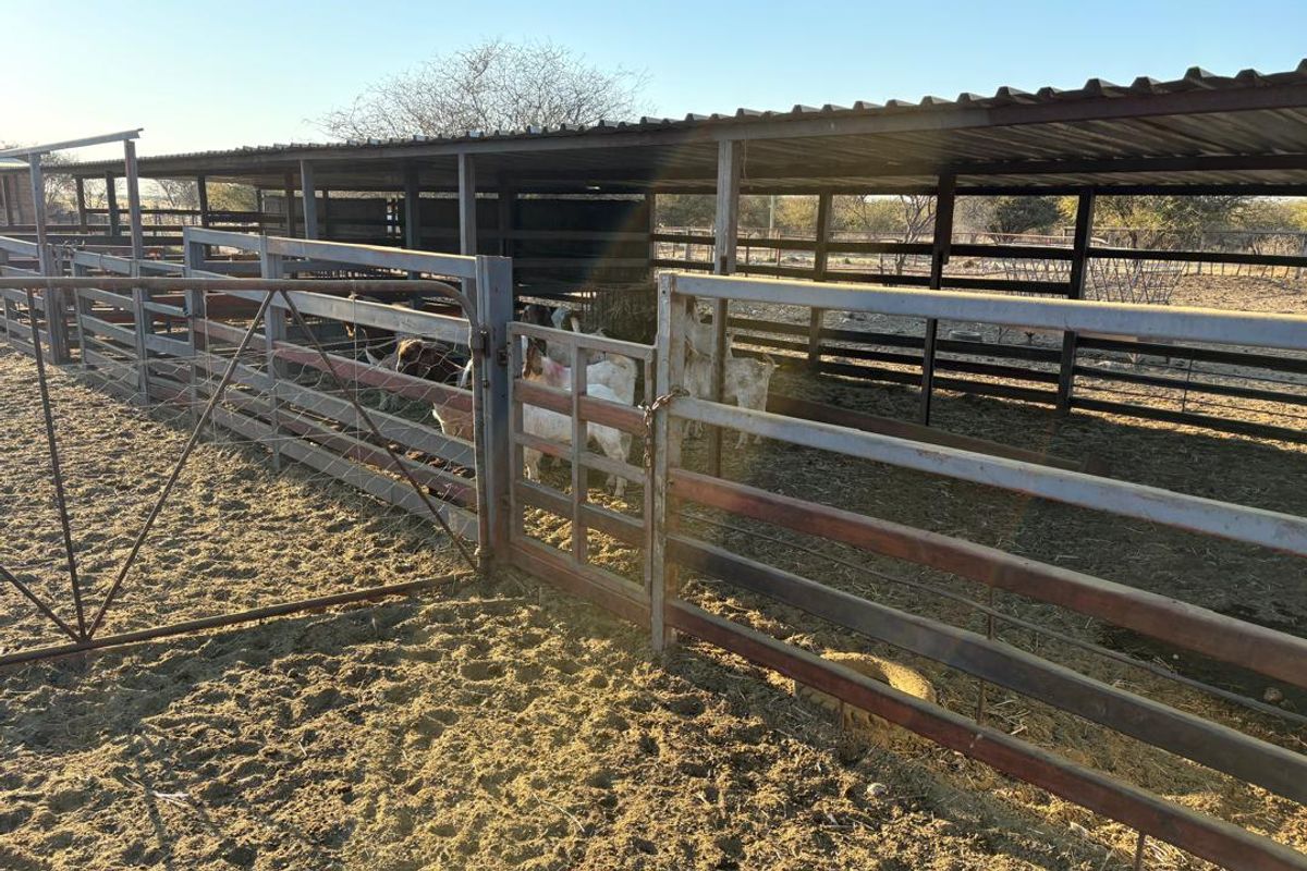 Agricultural Farm for Sale - Grootfontein Region - Photo 3