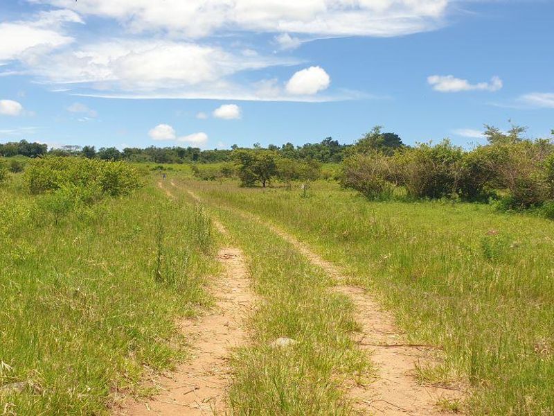 Lovely farm for sale with good soil and ready for its new owner with ambition. - Photo 9