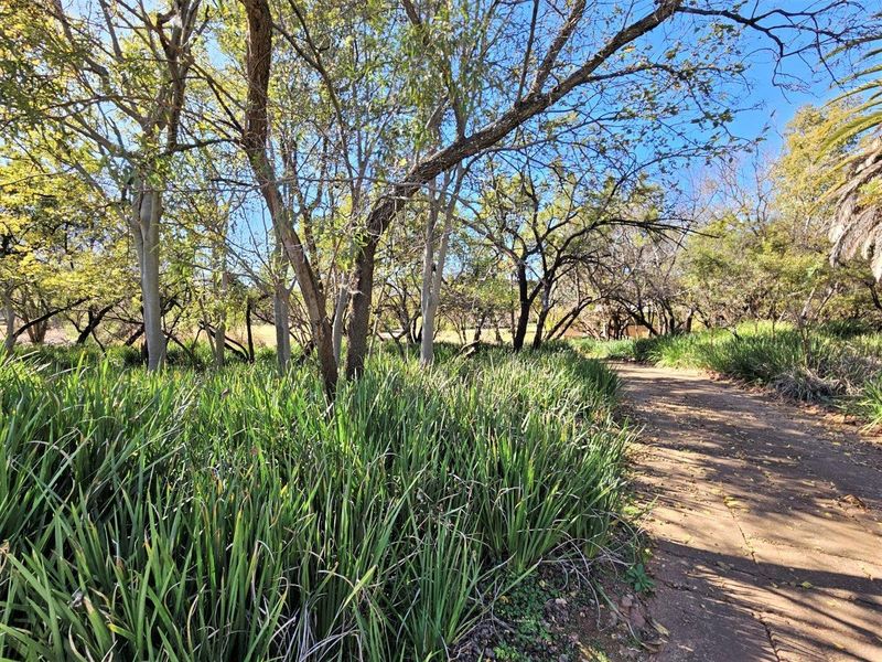 8300m2 Vacant Land in K'Shane, Kosmos - Photo 6