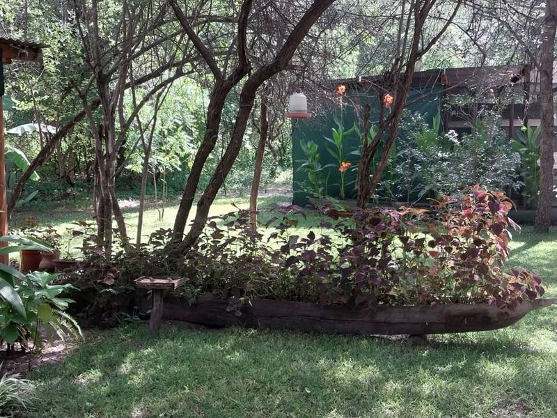 Amazing place in the Zambezi Region, Cabins and Campsite as a going concern! - Photo 6