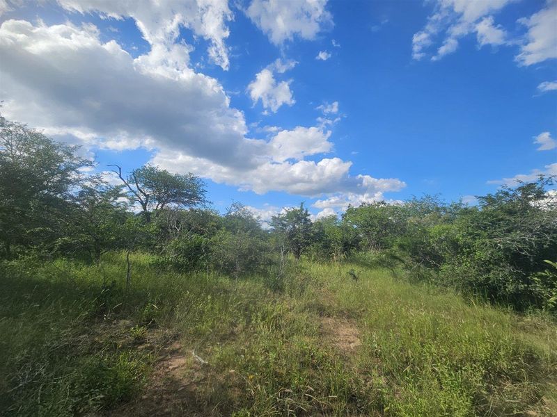Riverfront stand on Moditlo Wildlife Estate - Photo 4