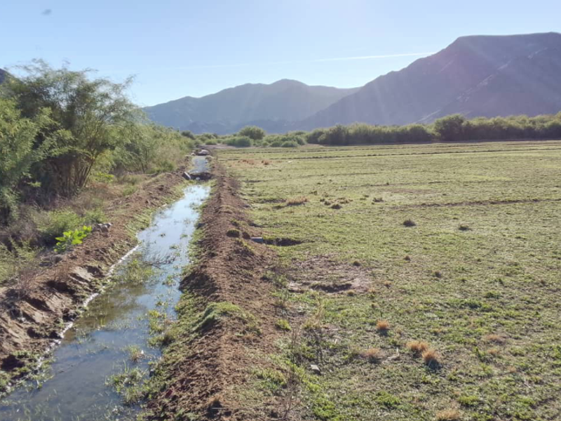 Irrigation farm located near Noordoewer with canal water available. - Photo 7