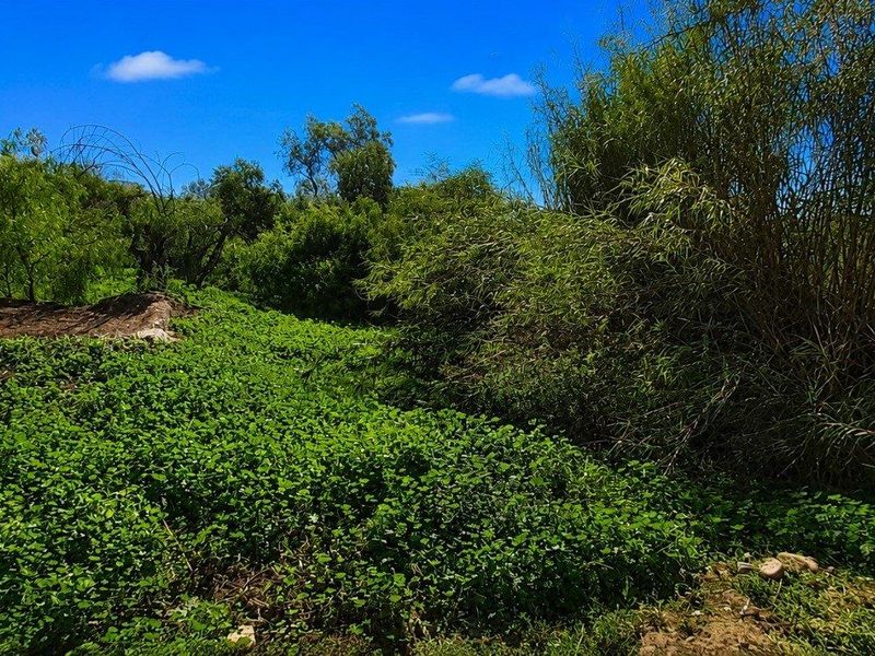 Prime Vacant Land Opportunity in West Bank - Photo 8