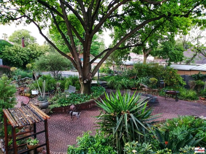 Sophisticated Charm and Elegance PLUS 3 flats! - Photo 2