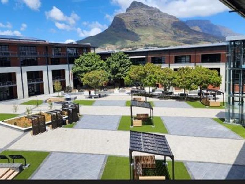 324m2  to Let | North Park Block D | Black River Park | Observatory - Photo 3