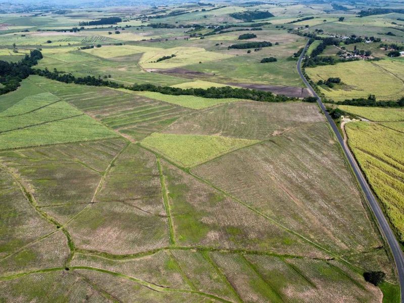 An aerial view of expansive agricultural farmland featuring cultivated fields and a bordering paved road, showcasing the property's vast rural landscape.