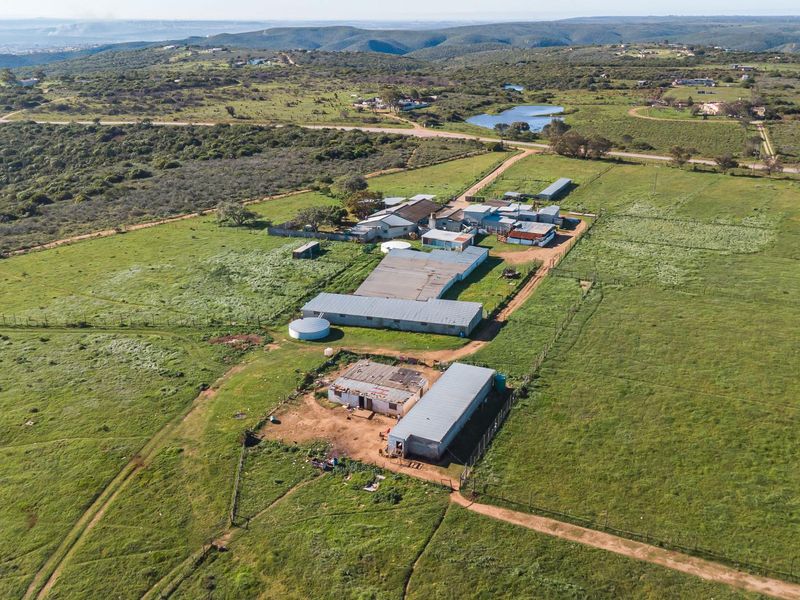 Open Realty Presents, Hillcrest Farm Abattoir – Uitenhage Area - Photo 10
