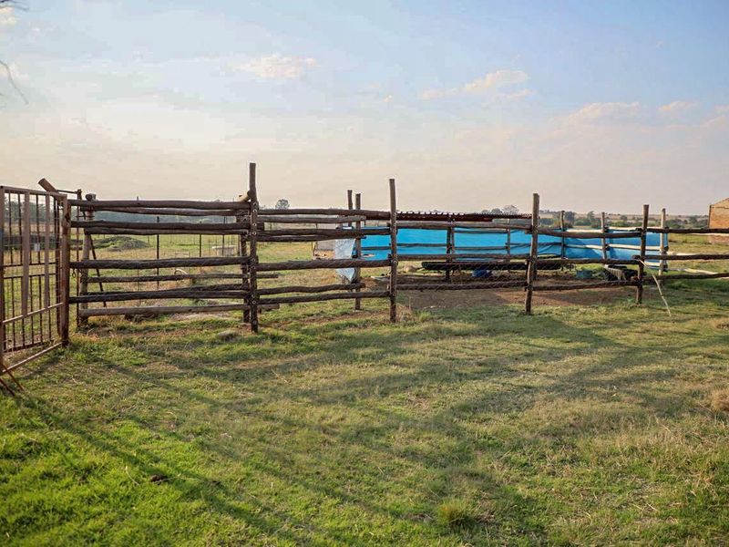 Countryside Smallholding for Sale in Koppies - Photo 9