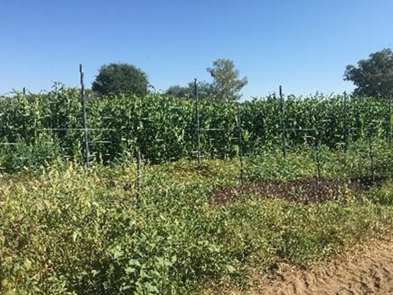 Business with property For Sale only 6 km from Okahandja - Photo 4