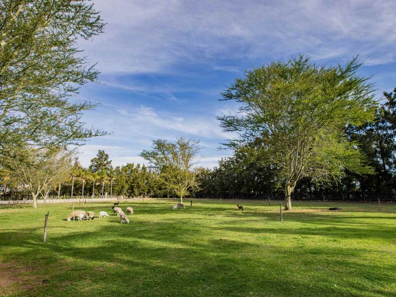 Nature Lovers paradise in the heart of the Boland - Photo 9