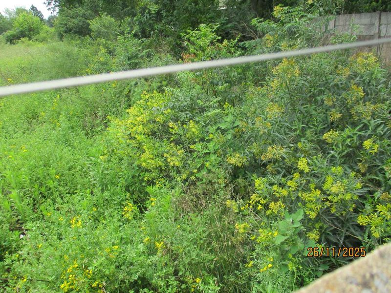 PRIME AREA HENLEY ON KLIP - Photo 7