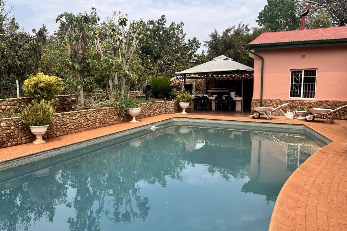 Duel Property with Thriving Avo Orchard For Sale - Photo 2