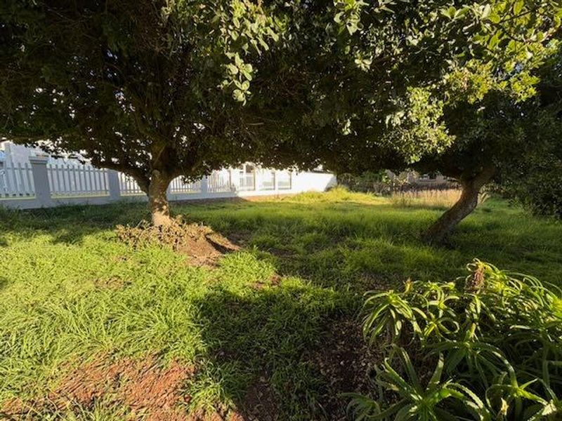 A view of a residential garden plot featuring mature trees and a white picket fence boundary.