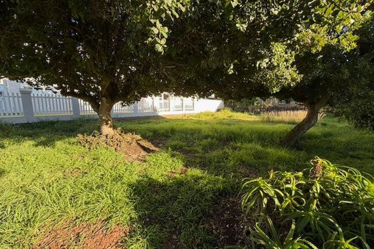 A view of a residential garden plot featuring mature trees and a white picket fence boundary.