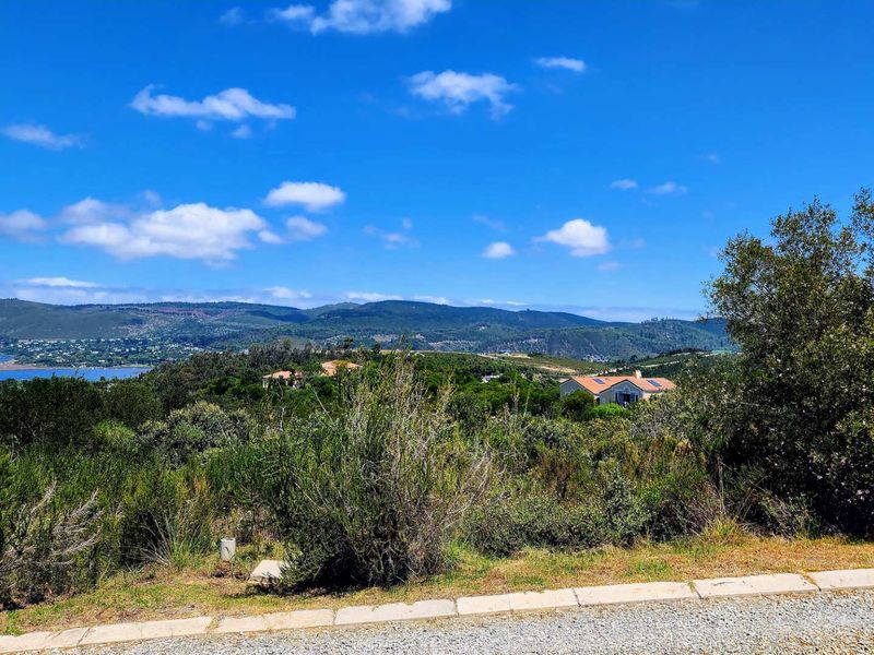 Tranquil Living with Breathtaking Views - Photo 6