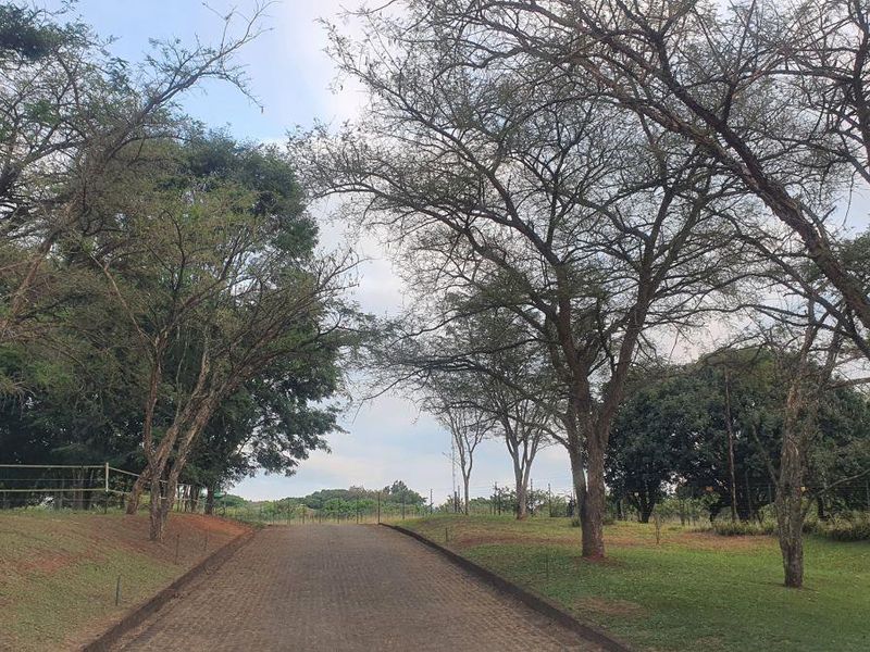 Spectacular Smallholding for Sale – A View and location Money Can’t Buy - Photo 7