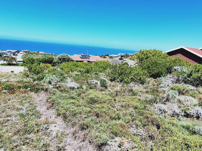 A scenic view overlooking the coastal landscape and surrounding residential neighborhood from the elevated vacant land plot.