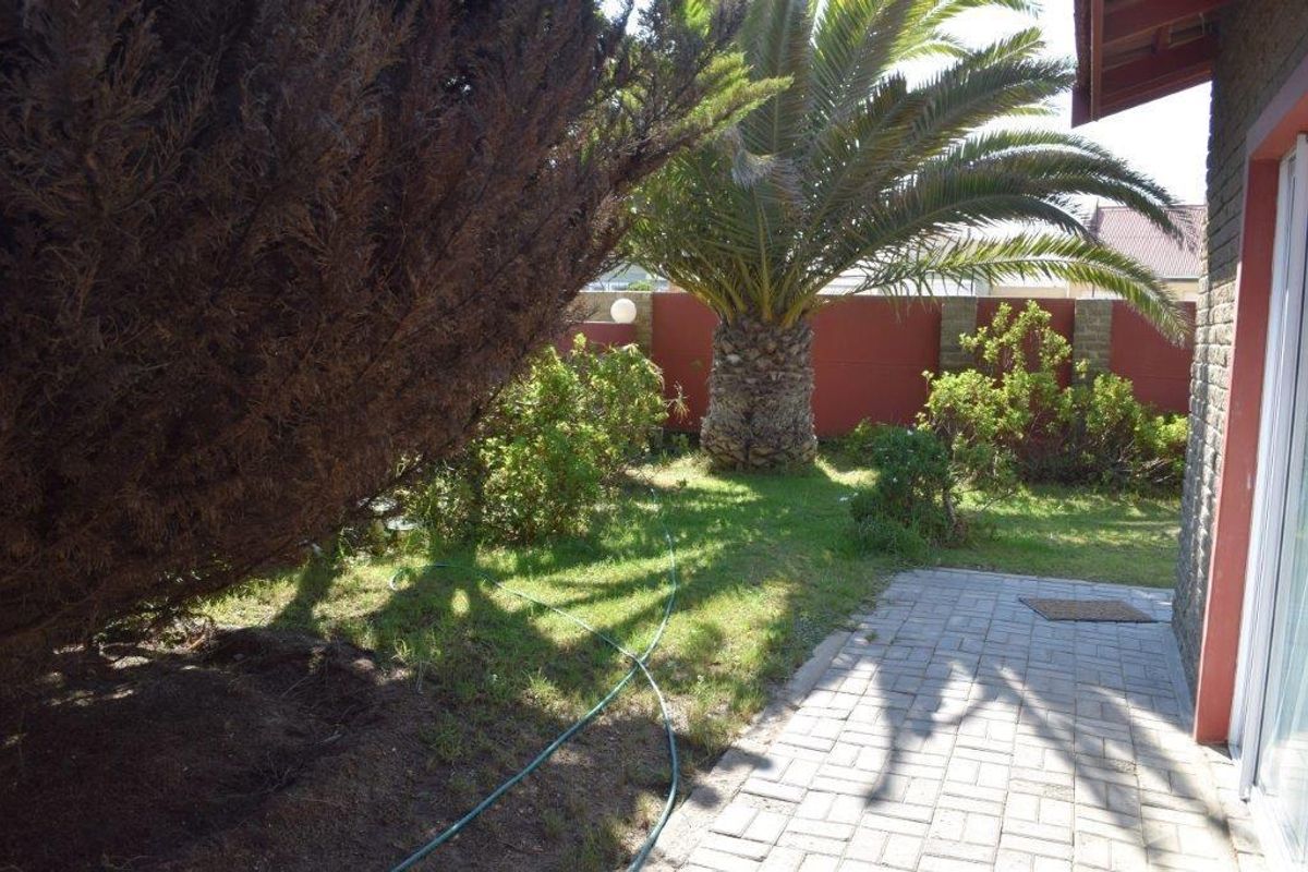 A private rear garden area featuring a paved patio, established palm tree, and perimeter boundary wall.