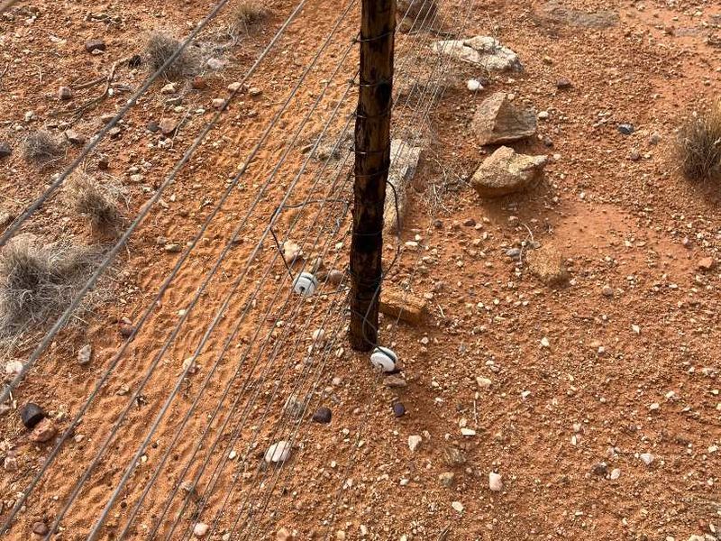 Boesmanland farm for sale near Kenhardt. - Photo 10