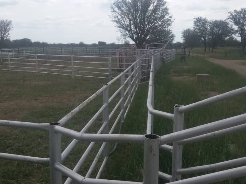 FOR SALE - CATTLE/SHEEP/AGRICULTURAL FARM IN THE OMARURU AREA OF NAMIBIA - Photo 5