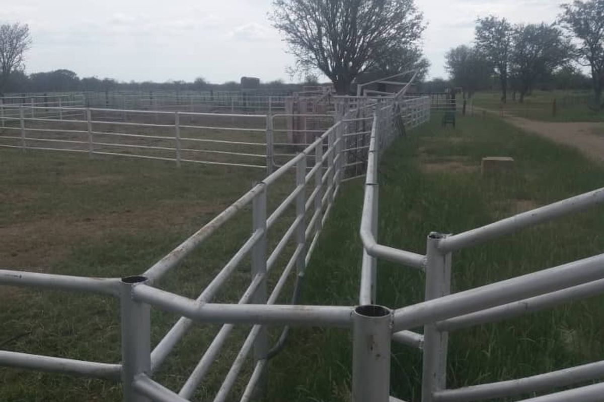 FOR SALE - CATTLE/SHEEP/AGRICULTURAL FARM IN THE OMARURU AREA OF NAMIBIA - Photo 5