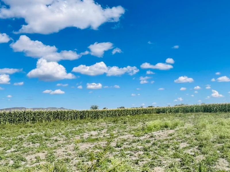 A wide-angle view of the farm property featuring open agricultural land and a mature crop field under a clear blue sky.