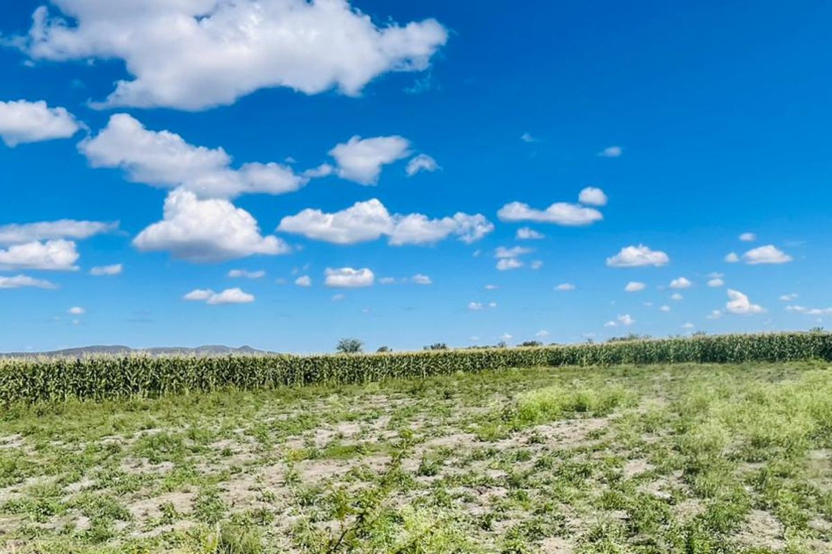 A wide-angle view of the farm property featuring open agricultural land and a mature crop field under a clear blue sky.