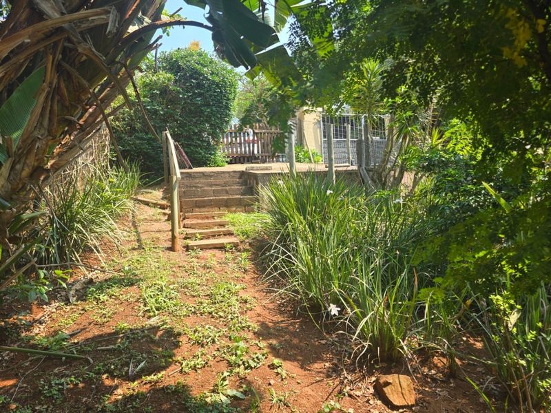 A garden pathway featuring concrete steps with a timber handrail leading toward a raised patio area surrounded by established trees and shrubs.