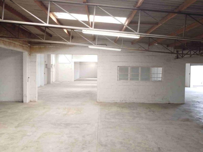 Spacious commercial utility area featuring exposed steel roof trusses, concrete flooring, and painted masonry walls, suitable for various industrial or storage applications.